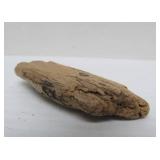 Great Estate Lot of Turtle Back Stones Fossils etc