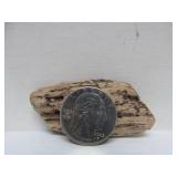 Great Estate Lot of Turtle Back Stones Fossils etc