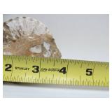 Great Estate Lot of Turtle Back Stones Fossils etc