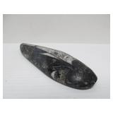 Great Estate Lot of Turtle Back Stones Fossils etc