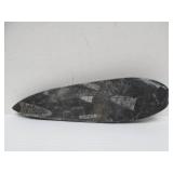 Great Estate Lot of Turtle Back Stones Fossils etc