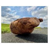 HUGE Carved Natural Burlwood Bowl