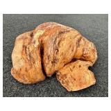 HUGE Carved Natural Burlwood Bowl