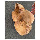 HUGE Carved Natural Burlwood Bowl