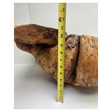 HUGE Carved Natural Burlwood Bowl