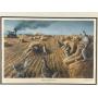 Framed Signed Print 'Sharptails at Harvest Time' by Les C. Kouba Limited Edition 406/2000