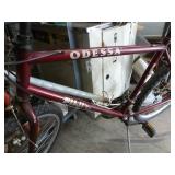 Fuji Odessa adult bicycle