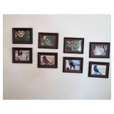Collection of Framed Nature Photographs Featuring Birds, Butterflies, and Cat
