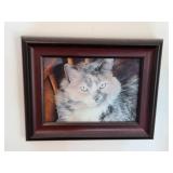 Collection of Framed Nature Photographs Featuring Birds, Butterflies, and Cat