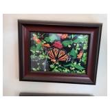 Collection of Framed Nature Photographs Featuring Birds, Butterflies, and Cat