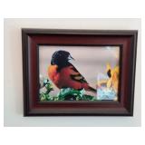Collection of Framed Nature Photographs Featuring Birds, Butterflies, and Cat