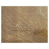 Set of Pyrex Glass Bakeware Casserole and Baking Dishes, Assorted Sizes