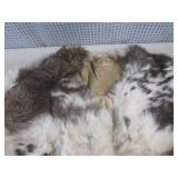 (A-1) Assorted Fur Pieces - Rabbit ... (A-1) Assorted Fur Pieces - Rabbit ...