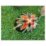 Painted Eggs Painted Eggs