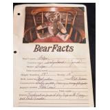 Felpa 18" Swiss Mohair Jointed Bear