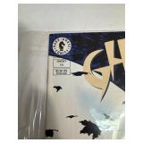 Ghost and Star Blazerbs Comic Books Ghost and Star Blazerbs Comic Books