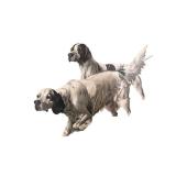 Framed Artwork Print Featuring English Setter Dogs in Field