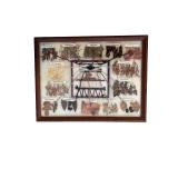 Framed Display of Labeled Dried Plant Specimens