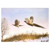 Woodville Ringnecks Limited Edition Print by Richard W. Plasschaert