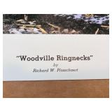 Woodville Ringnecks Limited Edition Print by Richard W. Plasschaert