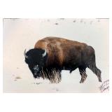 Bill Groethe Signed 1994 Bison Photograph
