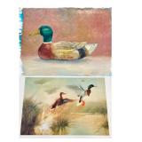 Pair of Duck Art Prints Including Mallard Portrait and Marsh Scene