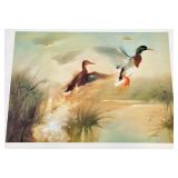 Pair of Duck Art Prints Including Mallard Portrait and Marsh Scene