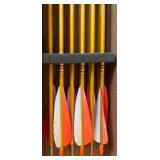 Set of 8 Fiberglass Target Arrows with Red and White Fletching