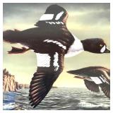 Framed Limited Edition R. Hautman Signed Duck Print 826/2000