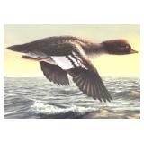 Framed Limited Edition R. Hautman Signed Duck Print 826/2000