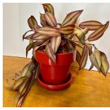 Royal Doulton Bone China 