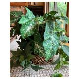 Mixed Lot Home Decor Accents Including Candle Holders, Artificial Plants, and Decorative Bowl Set