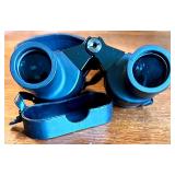 Bird Watching Set with Bausch & Lomb 8x36 Binoculars, Nippon AR-4392 Camera, Tripod, and Accessories