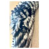 Baciano Faux Fur Striped Jacket Size Small