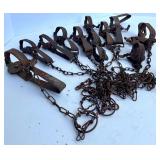 Collection of Vintage Steel Animal Traps and Chains