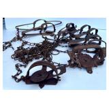 Collection of Vintage Steel Animal Traps and Chains