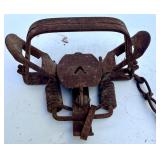 Collection of Vintage Steel Animal Traps and Chains