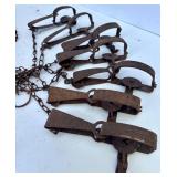 Collection of Vintage Steel Animal Traps and Chains