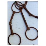 Collection of Vintage Steel Animal Traps and Chains