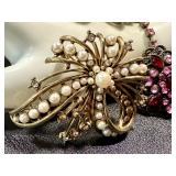 Collection of Fashion Jewelry Necklaces and Brooches