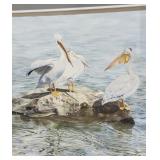 Original Watercolor - Pelicans by M. Shriber