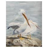 Original Watercolor - Pelicans by M. Shriber