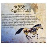 Horse of a Different Color - Field of Dreams - Thoroughbred - No: 20311 - #00799/10,000