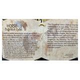 Horse of a Different Color - Cherokee Warrior - Mustang - No: 20308 - #00101/10000