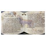 Horse of a Different Color - Revolutionary Warhorse - Clydesdale - No: 20301 #01744/10,000