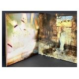 TV On The Radio - Return to Cookie Mountain Album - New & Sealed - From Vinyl Me, Please (VMP)