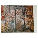 Autumn Forest Scene Art Print by Usery & Heims