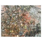 Autumn Forest Scene Art Print by Usery & Heims