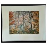 Autumn Forest Scene Art Print by Usery & Heims