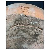 Handcrafted Studio Pottery Lidded Jar with Handles